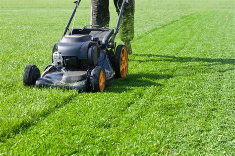 Lawn work. Things To Know About Lawn work. 
